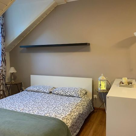 Loft L'Alessandra بولزانو المظهر الخارجي الصورة